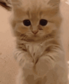 空氣不佳讓你無處可逃？有了它在家永遠(yuǎn)如沐春風(fēng)